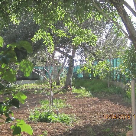 Отель Quinta Da Fonte Em Монкарапашу Экстерьер фото